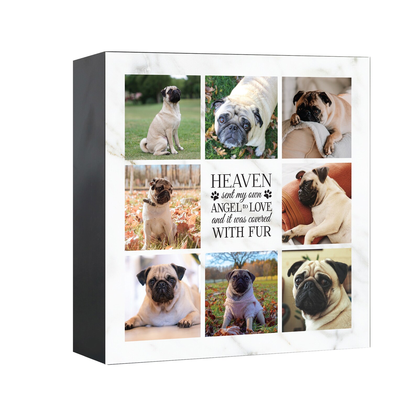 Uvprinted Cremation Shadow Box Urn for Animal Ashes Dog Urn Etsy