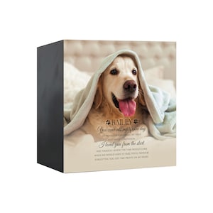 Pet Memorial Shadow Box Urn for Animal Ashes | Dog Urn for Ashes | Cat Urn for Ashes | Dog Memorial Gifts | Cat Memorial Gifts