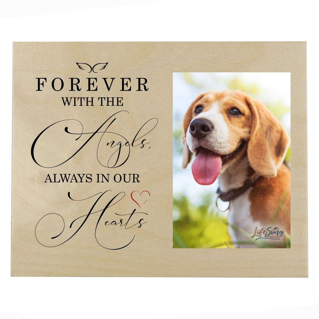 Pet Memorial Wall Plaque Personalized Pet Sympathy Gift Dog Memorial Gift Bereavement Gift Cat