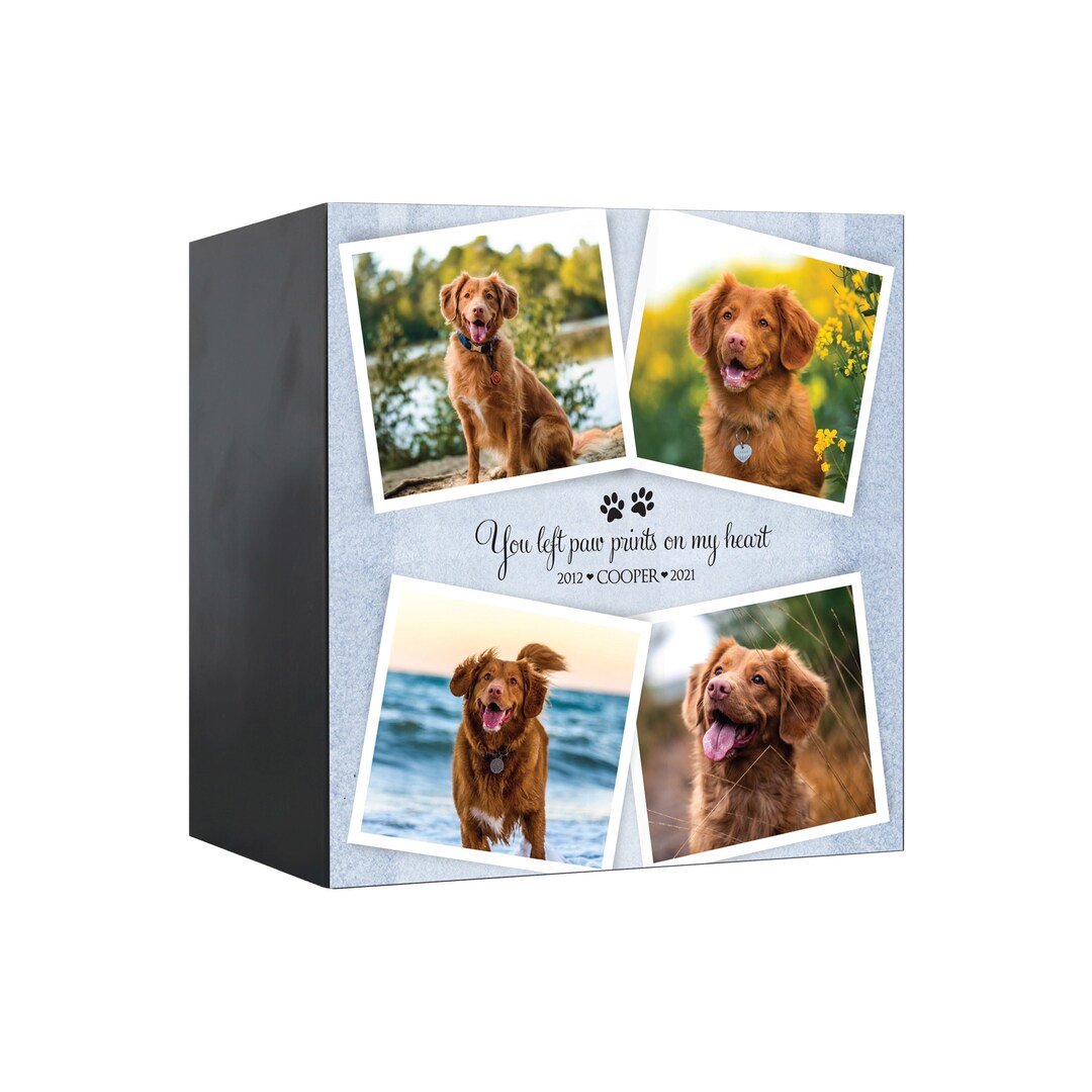 Pet Memorial Shadow Box Urn for Animal Ashes Dog Urn for Ashes Cat Urn