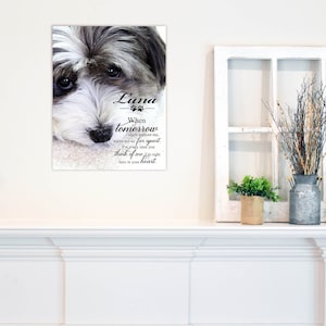 Custom Pet Portrait | Memorial Plaque | Cat Memorial | Pet Memorial Gift | Tomorrow Starts | Sympathy Gift | Wooden Signs | Dog Memorial