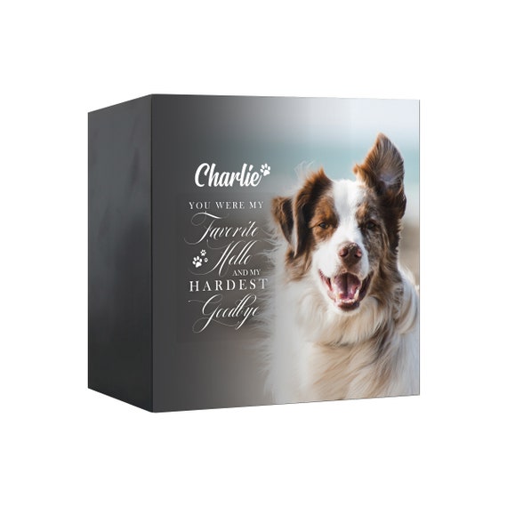 Urne de boîte dombre commémorative pour animaux de compagnie pour les  cendres danimaux Urne pour chien