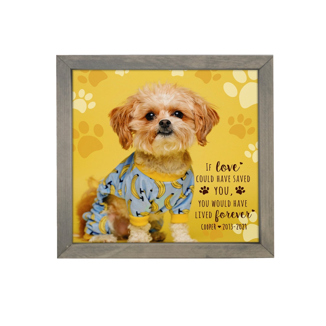 Personalized Pet Memorial Frame Shadow Box Frame Custom Pet Portrait