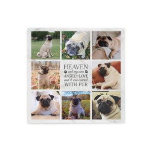 K&ouml;nnte beinhalten: Eine Collage aus Fotos von Mops mit dem Text "HEAVEN sent my own ANGEL to LOVE and it was covered WITH FUR" auf einem Marmorhintergrund.