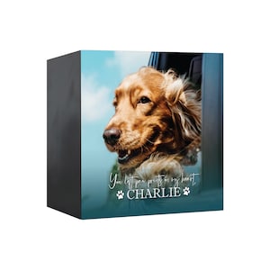 Pet Memorial Shadow Box Urn for Animal Ashes | Dog Urn for Ashes | Cat Urn for Ashes | Dog Memorial Gifts | Cat Memorial Gifts