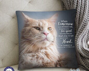 May include: A memorial pillow featuring a photo of a light brown cat with green eyes. The pillow has a blue background with white text that reads "When tomorrow starts WITHOUT ME, don't think we're far apart. For every time you think of me, I'm right here in your Heart. * CHARLIE * MARCH 20, 2008 - OCTOBER 20, 2021"