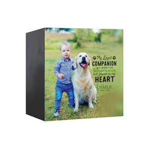 Pet Memorial Shadow Box Urn for Animal Ashes | Dog Urn for Ashes | Cat Urn for Ashes | Dog Memorial Gifts | Cat Memorial Gifts