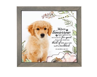 Personalized Pet Memorial Frame | Shadow Box Frame | Custom Pet Portrait | Pet Photo Frame | Pet Sympathy Gift | Loss Of Dog | Loss Of Cat