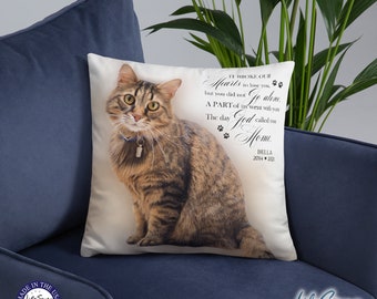 May include: A white throw pillow with a brown tabby cat sitting on it. The pillow has a black text overlay that reads "It broke our hearts to lose you, but you did not go alone. A part of us went with you. The day God called you home. Bella 2014-2020."