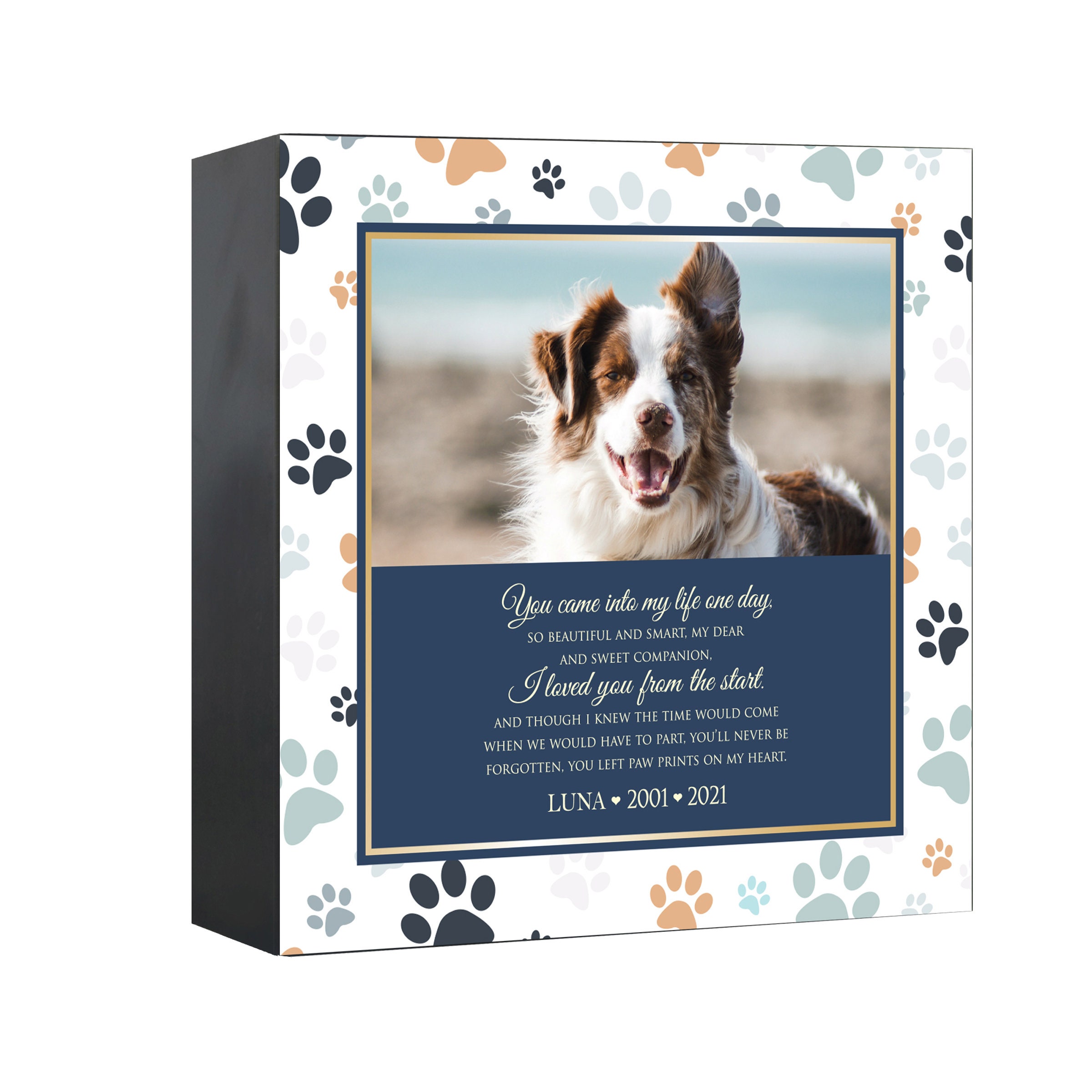 shadow box for dog ashes