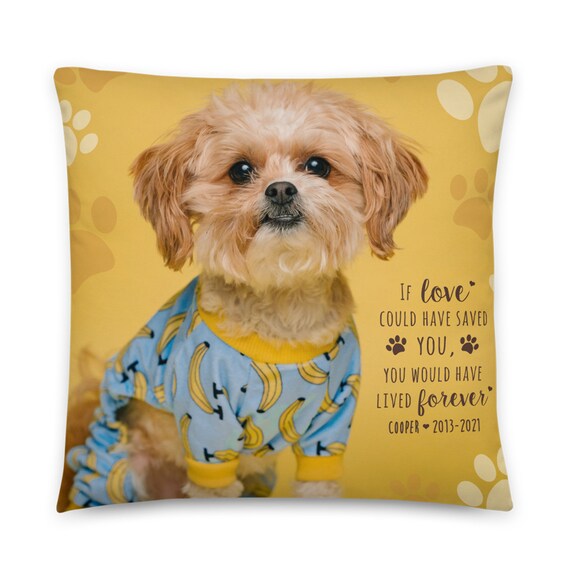Costume Dog Printed Decorative Throw Pillow Costume Dog Printed Decorative Throw Pillow
