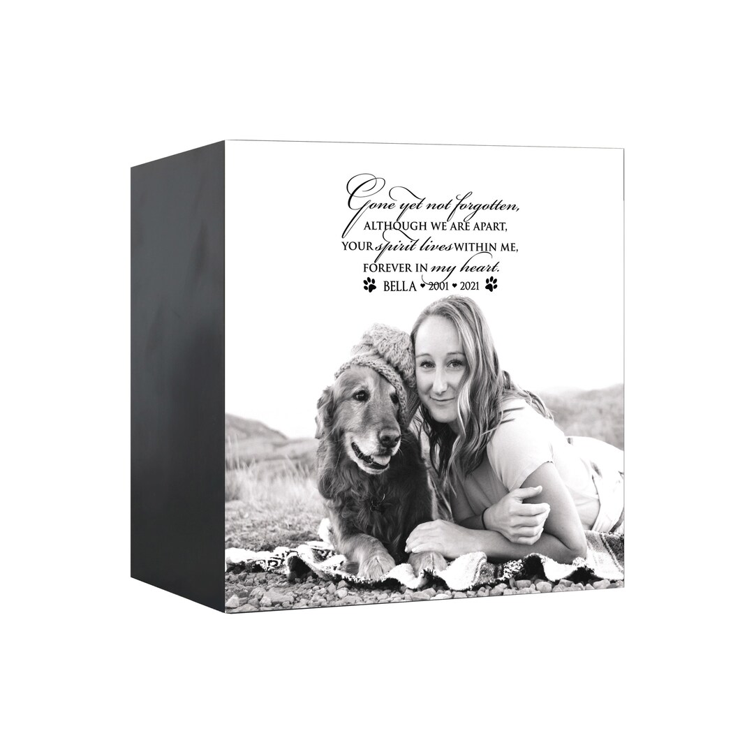 Uvprinted Cremation Shadow Box Urn for Animal Ashes Dog Urn for Ashes