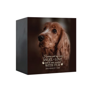 UV-Printed Cremation Shadow Box Urn for Animal Ashes | Dog Urn for Ashes | Cat Urn for Ashes | Dog Memorial Gifts | Cat Memorial Gifts