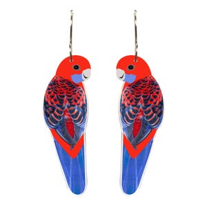Crimson Rosella Bird Earrings, Recycled Plastics, Made in Australia, Souvenir