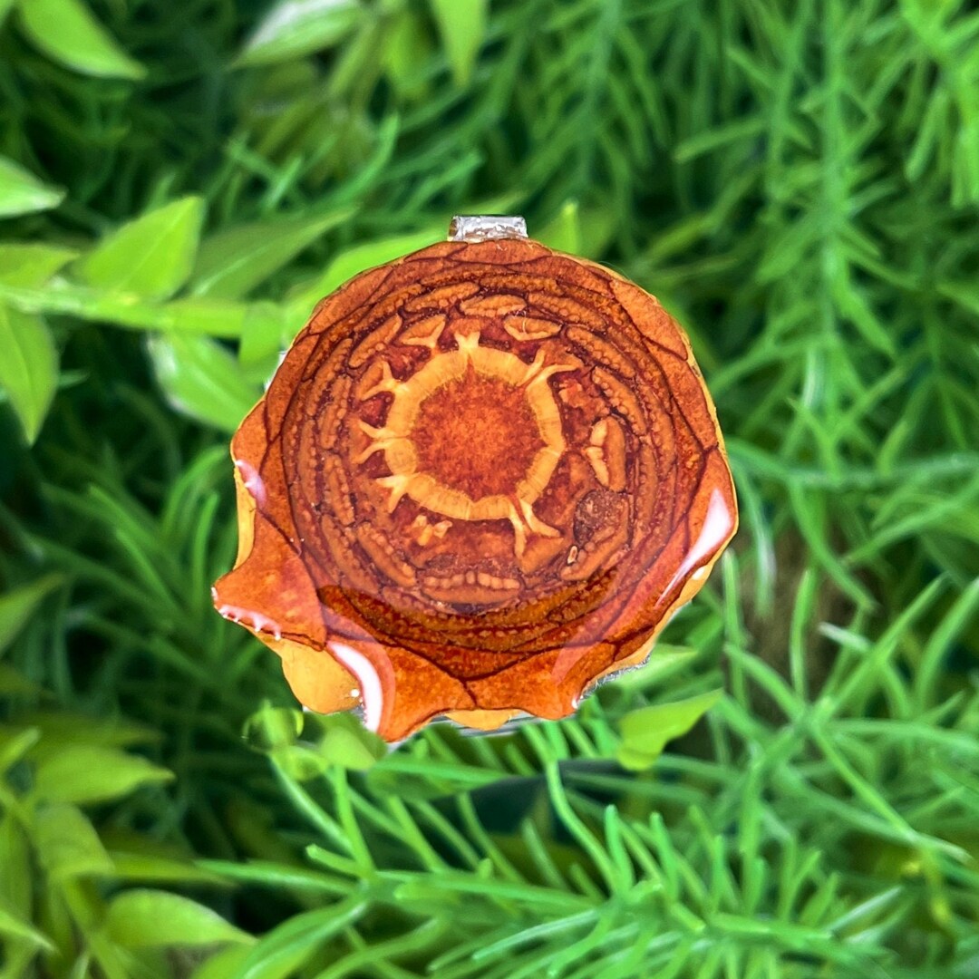 Natural Pinecone Pendant Necklace Sacred Geometry Crystal - Etsy