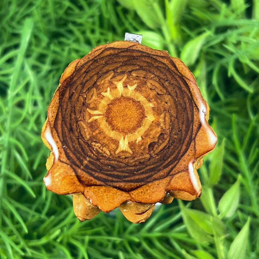 Natural Pinecone Pendant Necklace Sacred Geometry Crystal Gemstone - Etsy