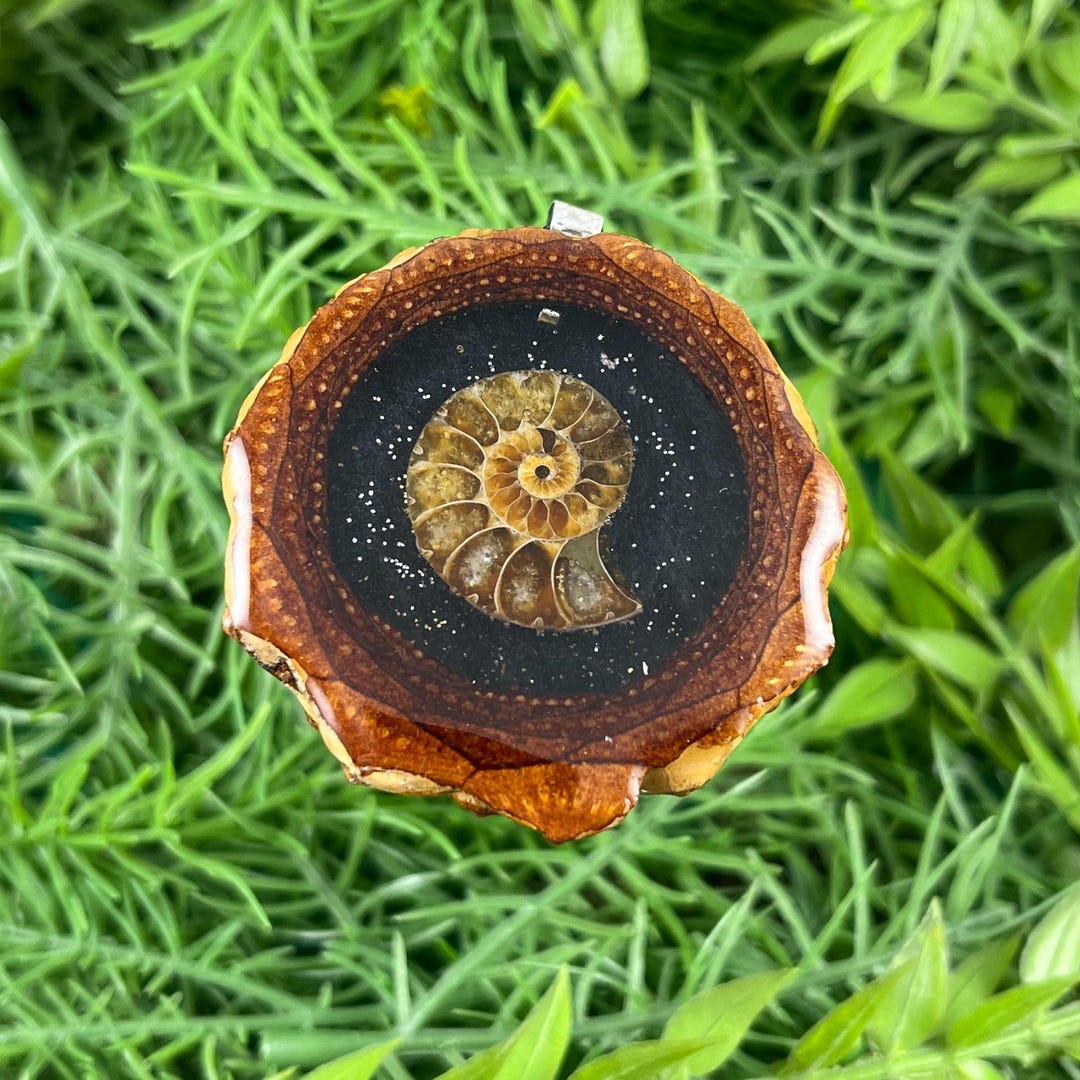 Night Sky With Ammonite Pinecone Pendant Necklace Sacred Geometry ...