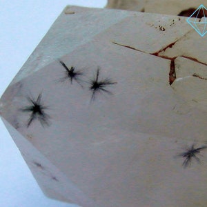 Black starbursts of Hollandite in Quartz  from Anketsaketsa, Ambatofinandrahana, Madagascar
