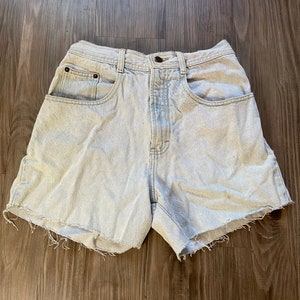 Vintage Structure Brand Denim Cut Off Jean Shorts