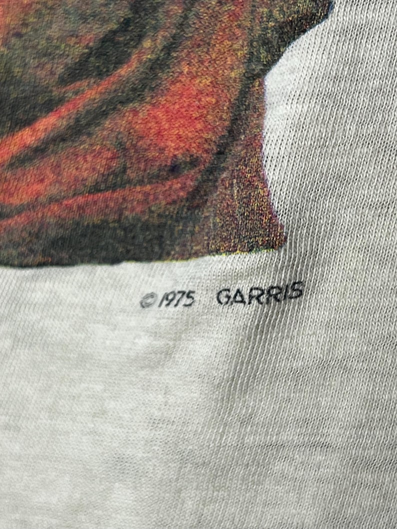 Vintage 1975 Grateful Dead Double Sided Garris Graphic Band T-shirt - Etsy