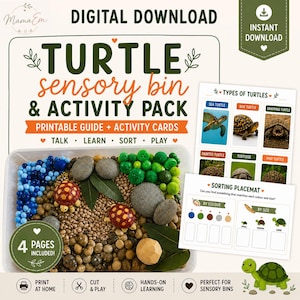 Aktivitetspaket med Turtle Sensory Bin: Utskrivbar guide, lärokort (digital nedladdning)