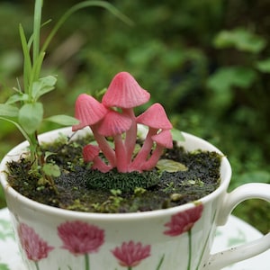 Miniatur-Fee kleine rosa Pilze Fairy Garden Lieferungen & Zubehör Terrarium Figuren