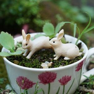 Miniature Fairy Set of 2 Tiny Rabbits Running Fairy Garden Supplies & Accessories Terrarium Figurines