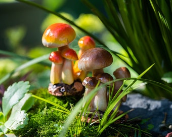 2PC Miniature Fairy kleine Mulit-Pilze Fairy Garden Lieferungen & Zubehör Terrarium Figuren braun und Orange