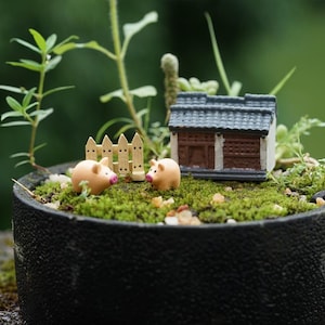 Miniature Resin Pig & House Set: Fairy Garden Terrarium Figurines