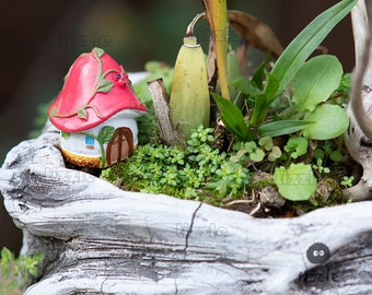 50 Mini-Pilz-Figuren Aus Kunstharz – Leuchtend Im Dunkeln, 7 Stile, Für Feengarten & Deko