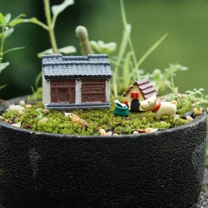 Miniature Fairy Set of 3PC Dog Doghouse and a House Fairy Garden Supplies & Accessories Terrarium Figurines