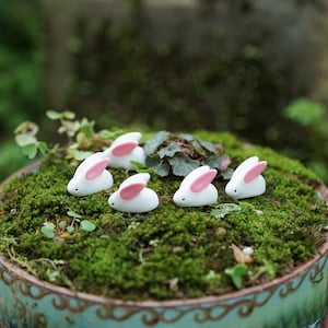 5 stücke Miniatur Fee Kleine weiße Kaninchen Fairy Garten Lieferungen & Zubehör Terrarium Figuren