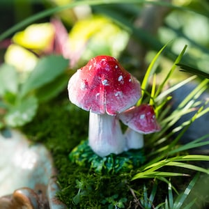 3CM Miniature FairyTiny Mushrooms Fairy Garden Supplies & Accessories Terrarium Figurines Pink