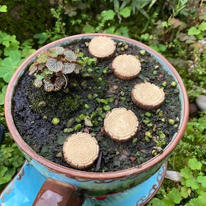 10 Stück Miniatur-Fee kleine Spile Schritte Fairy Garden Lieferungen & Zubehör Terrarium Figuren