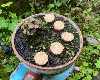 10 Stück Miniatur-Fee kleine Spile Schritte Fairy Garden Lieferungen & Zubehör Terrarium Figuren