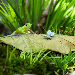 Miniatur-Fee kleiner Frosch mit Schmetterling auf Blatt-Tierfiguren-Fee-Gartenbedarf & Zubehör-Terrarium-Figuren