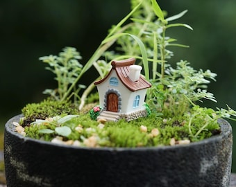 Può includere: Una casetta bianca in miniatura con un tetto marrone e un piccolo camino si trova in un giardino in miniatura con muschio verde e piccole piante.