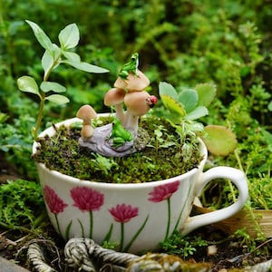 Miniatur-Fee kleine Frösche auf dem Pilz mit Marienkäfer Fairy Garden Lieferungen & Zubehör Terrarium Figuren
