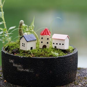 May include: A miniature village scene featuring three small houses in a black planter. The houses are white with red, pink, and blue roofs. The planter has the text "Live, Breath, Together" on the side.