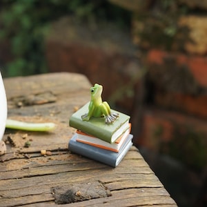 Miniature Fairy Frog Sit on Books Animal Figurines Fairy Garden Supplies & Accessories Terrarium Figurines