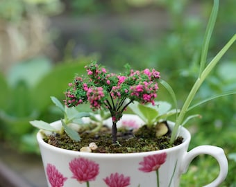 Könnte beinhalten: Ein kleiner, rosa blühender Baum, der in einer weißen Teetasse mit Blumenmuster gepflanzt ist. Die Teetasse hat einen Henkel und ist mit Moos und kleinen grünen Pflanzen gefüllt.