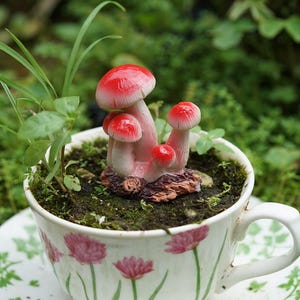 Miniature Fairy Pink and White Border Mushrooms Fairy Garden Supplies & Accessories Terrarium Figurines