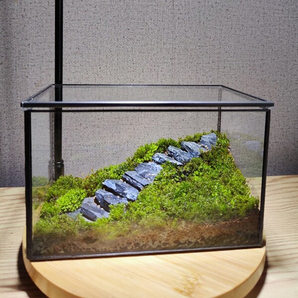 Terrarium Figurines Etsy