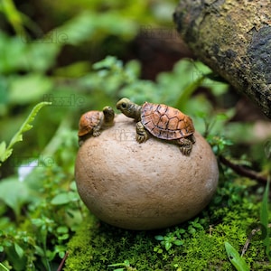 Miniature Fairy Small Tortoise Sitting on Stone Animal Figurines Fairy Garden Supplies & Accessories Terrarium Figurines