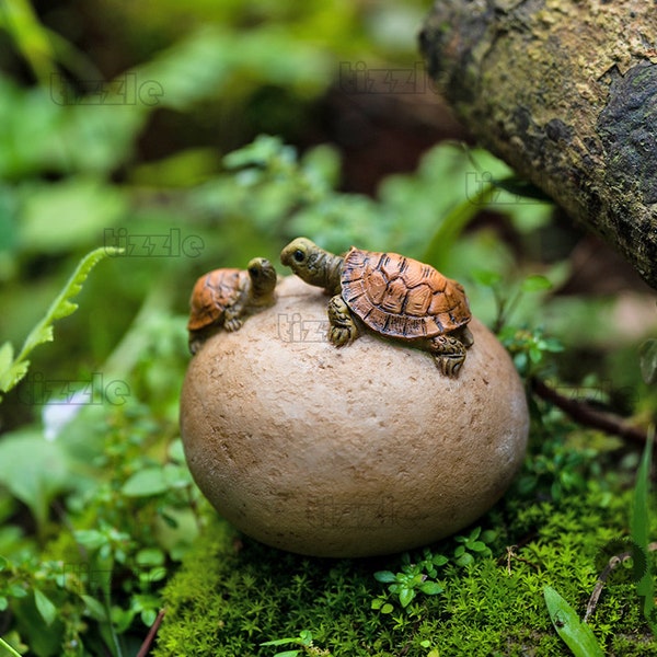 Petite tortue féerique miniature assise sur de la pierre, Figurines d'animaux Fée, Fournitures et accessoires de jardin, Figurines de terrarium