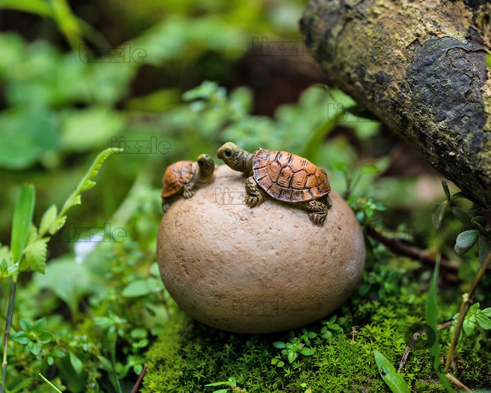 Miniature Fairy Small Tortoise Sitting on Stone Animal Figurines Fairy Garden Supplies & Accessories Terrarium Figurines