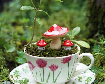 Può includere: Un set decorativo di tazza e piattino riempito di muschio e funghi in miniatura rossi e bianchi a pois. La tazza presenta un motivo floreale con fiori rosa e foglie verdi. Una piccola pianta spunta dal muschio.