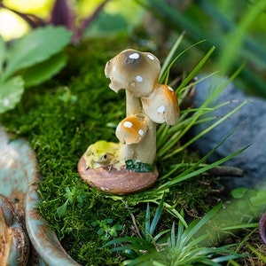 1PC Miniatur-Fee kleiner Frosch unter Pilz-Fee-Gartenbedarf & Zubehör Terrarium Figuren
