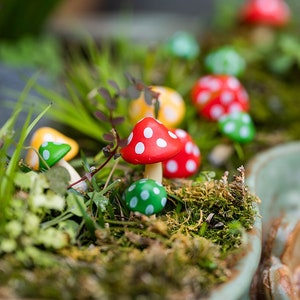6pc Miniature Fairy Tiny Mixed Size Mushroom Fairy Garden Supplies & Accessories Terrarium Figurines 3 Colors
