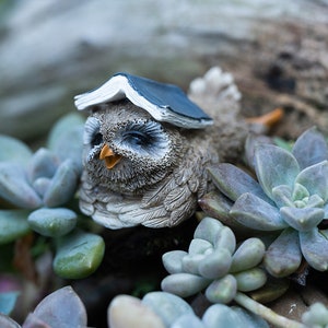 Miniature Fairy Smart Owl Kopf mit Buch Tierfiguren Fairy Garden Lieferungen & Zubehör Terrarium Figuren